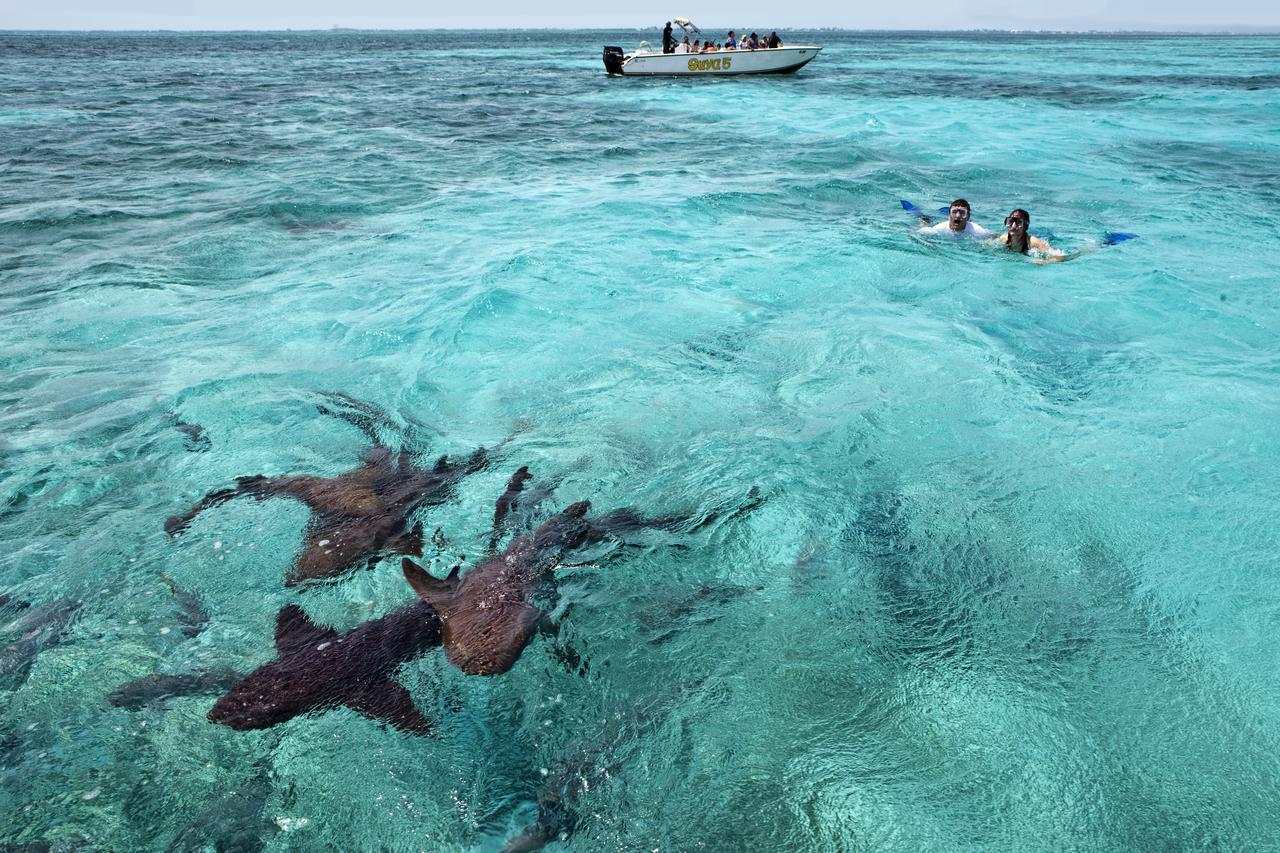 Cayo Espanto San Pedro  Bagian luar foto