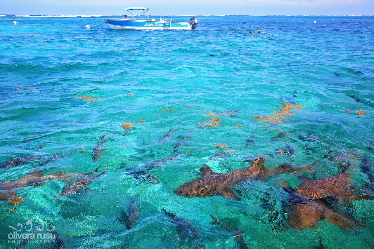 Cayo Espanto San Pedro  Bagian luar foto
