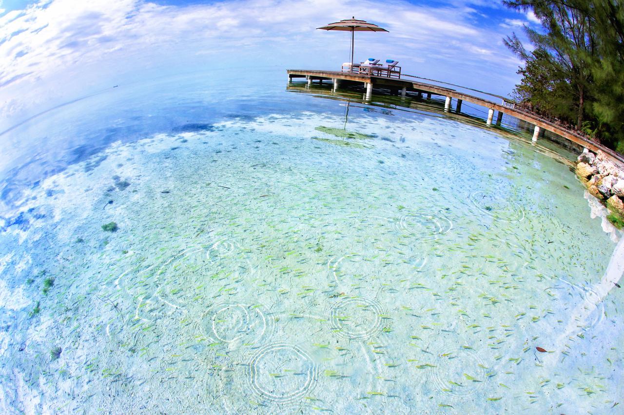 Cayo Espanto San Pedro  Bagian luar foto